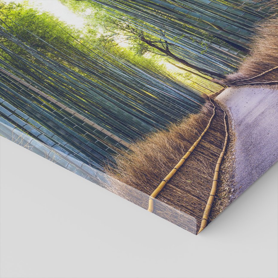 Obraz na płótnie - bambus, las, ścieżka