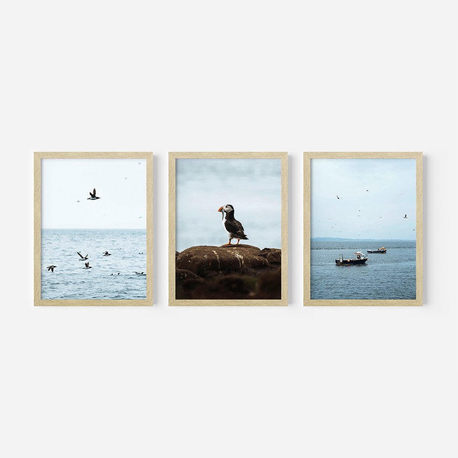 Zestaw obrazy w ramie, plakaty - ptaki, morze, łodzie - rama drewno
