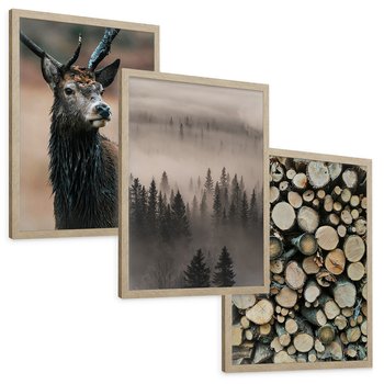 Zestaw obrazy w ramie, plakaty - las, drewno, natura - rama drewno