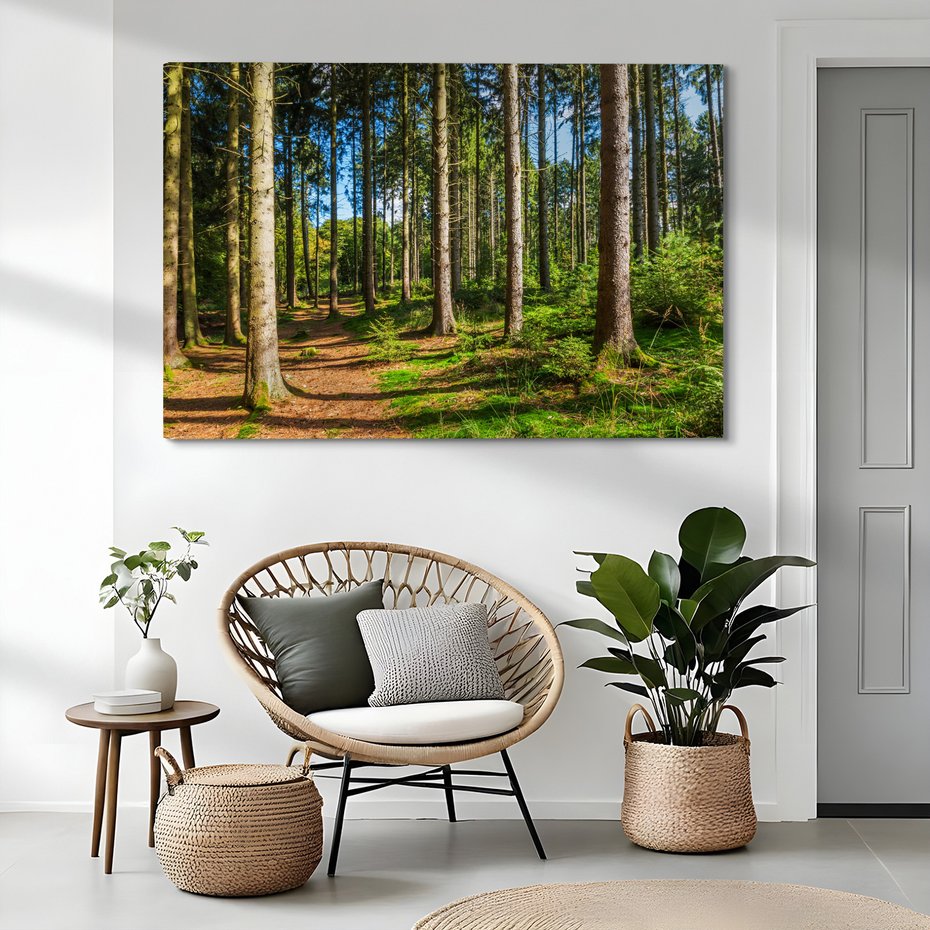 Obraz na płótnie - las, drzewa, natura