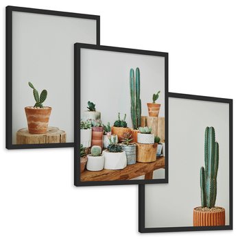 Zestaw obrazy w ramie, plakaty - kaktusy, sukulenty, rośliny - rama czarna