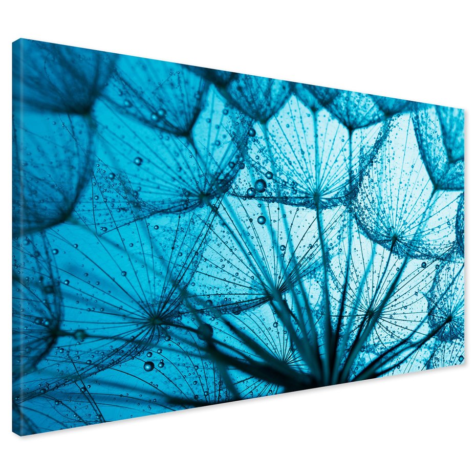 Obraz na płótnie - dmuchawiec, abstrakcja, natura