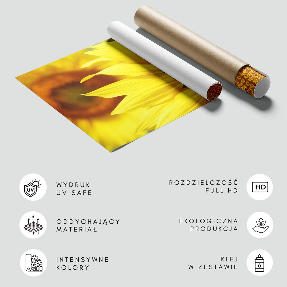 Fototapeta - słonecznik, kwiat, żółty