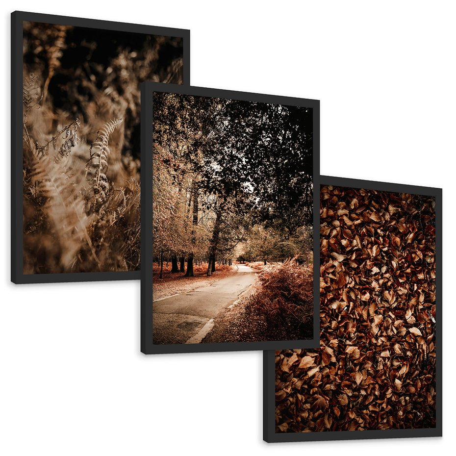 Zestaw obrazy w ramie, plakaty - jesień, liście, natura - rama czarna