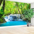 Fototapeta - wodospad, las, woda