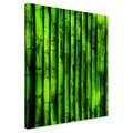 Obraz na płótnie - bambus, zielony, roślina