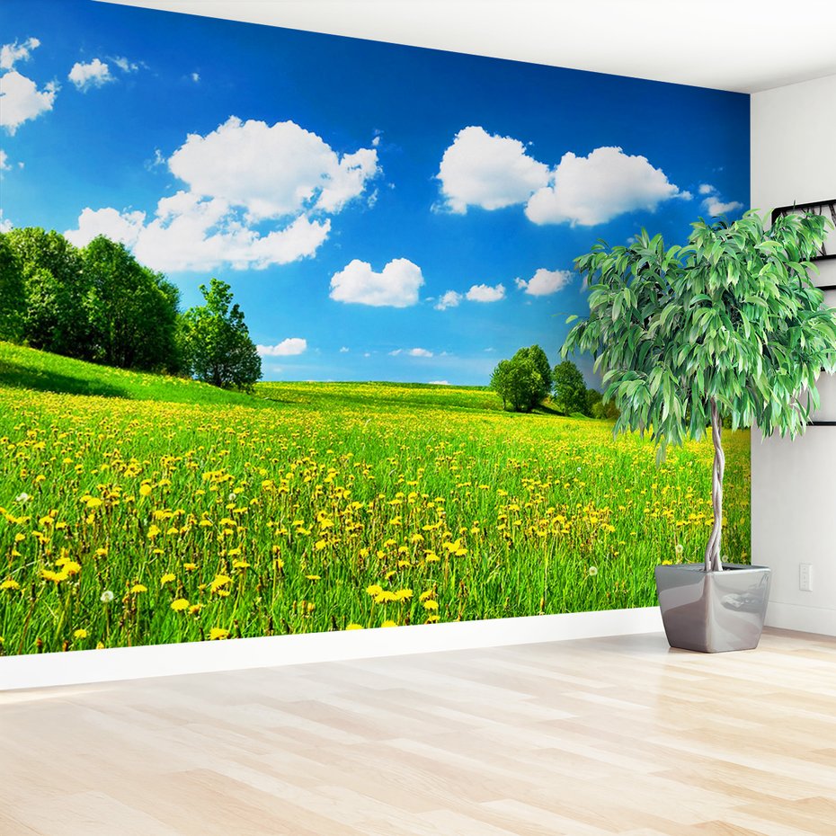 Fototapeta - łąka, chmury, natura