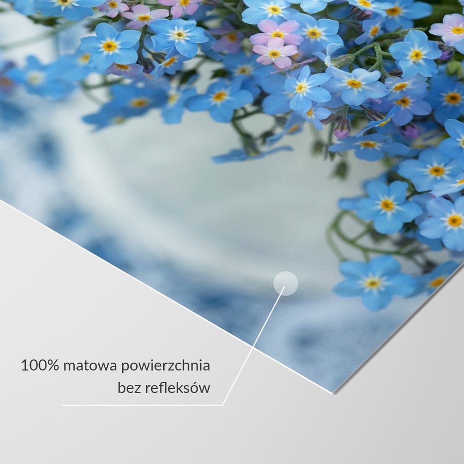 Fototapeta - kwiaty, niezapominajki, wiosna