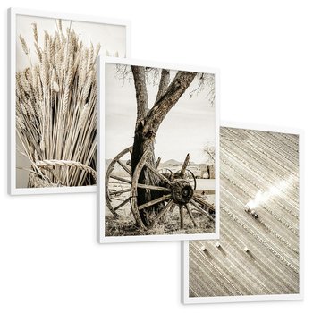 Zestaw obrazy w ramie, plakaty - wieś, rolnictwo, plony - rama biała