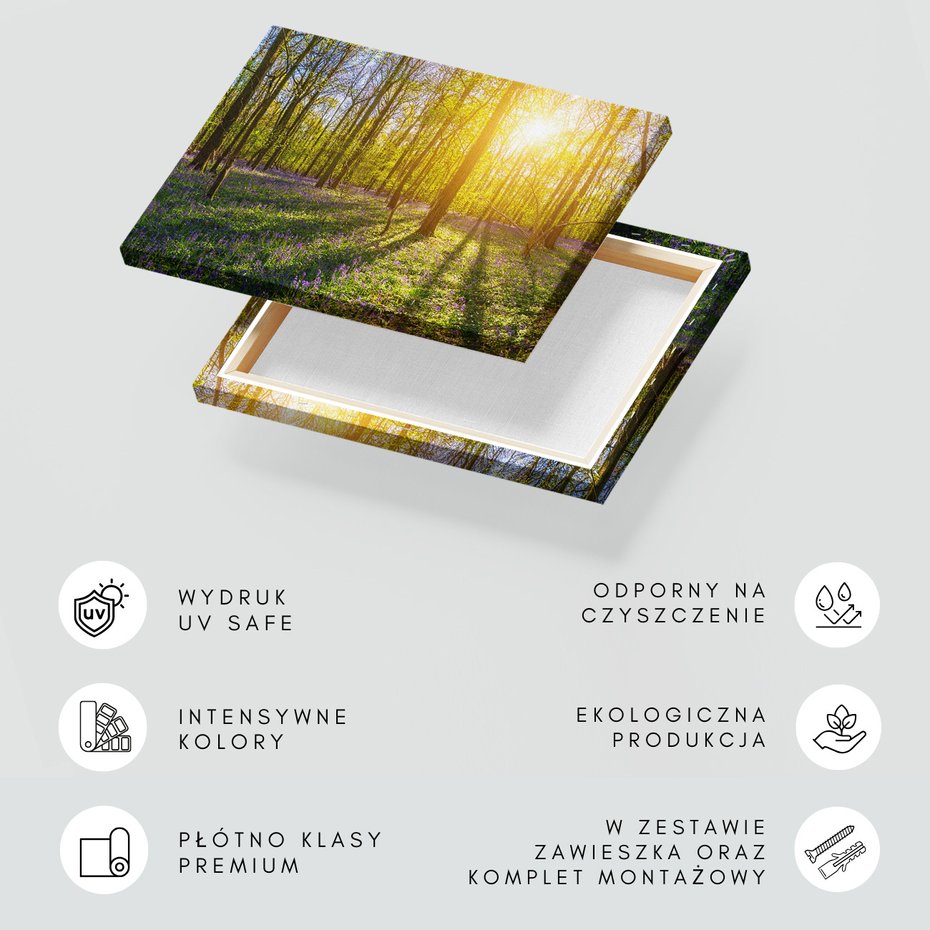 Obraz na płótnie - las, kwiaty, słońce