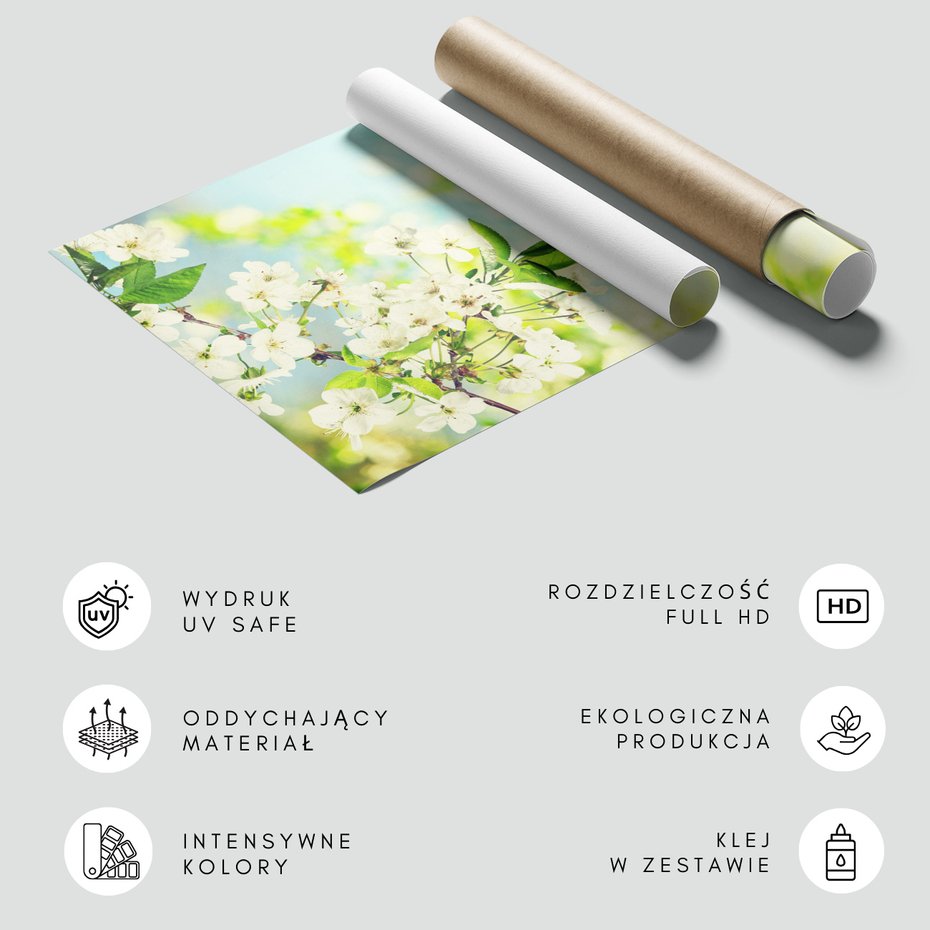 Fototapeta - kwiaty, wiosna, kwitnienie