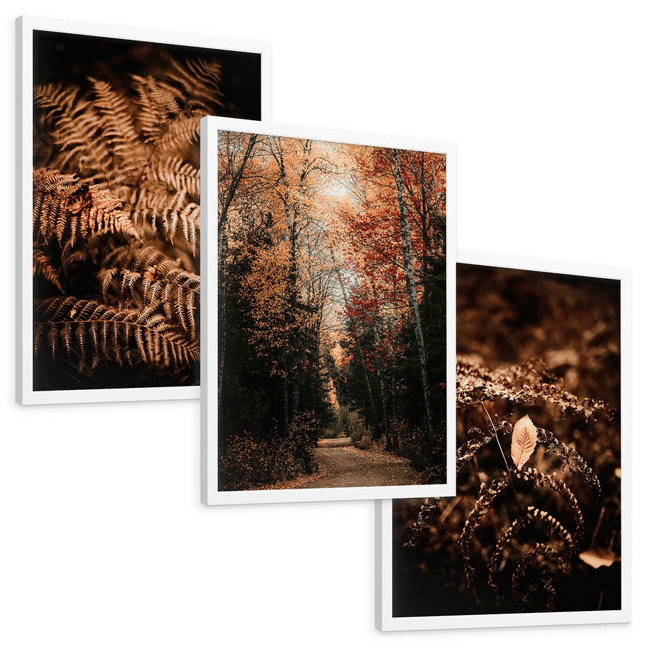 Zestaw obrazy w ramie, plakaty - jesień, liście, brązowy - rama biała