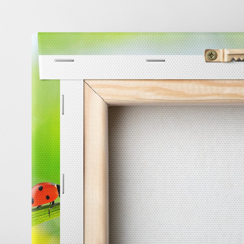 Obraz na płótnie - biedronka, trawa, woda