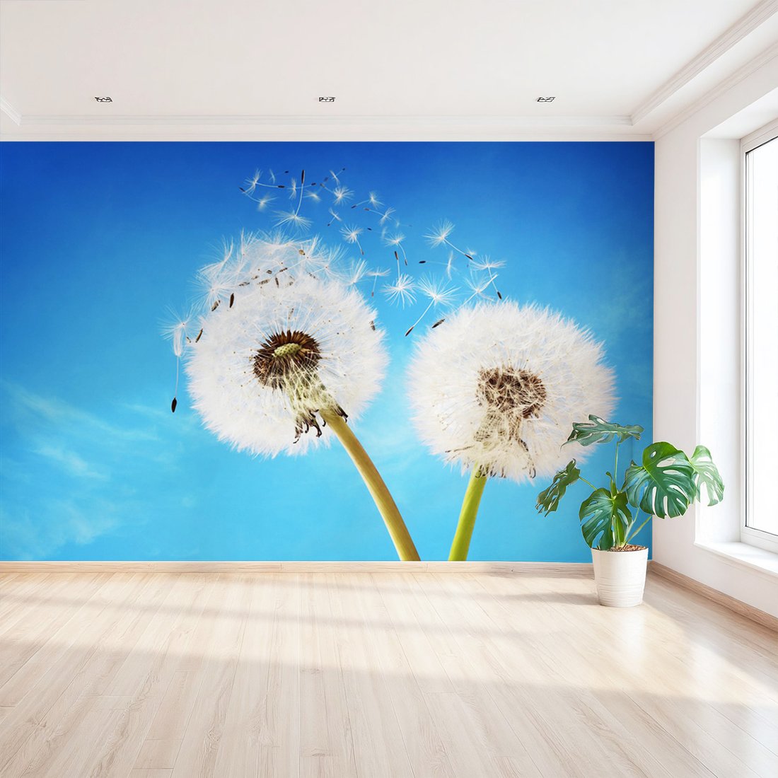 Fototapeta - dmuchawce, niebo, natura