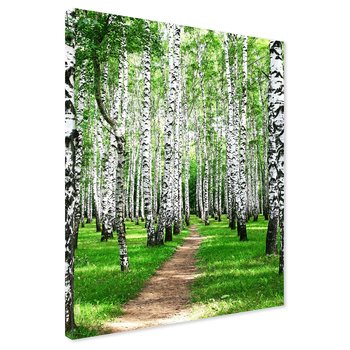 Obraz na płótnie - las, brzozy, natura