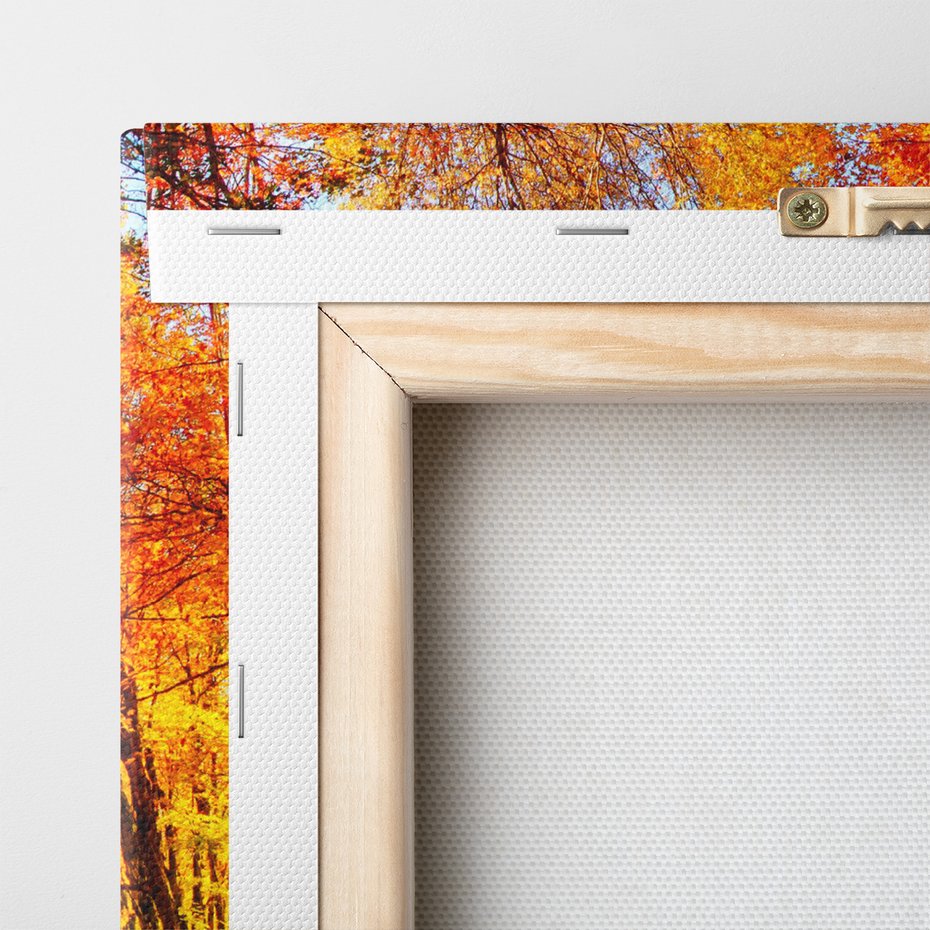 Obraz na płótnie - jesień, droga, las