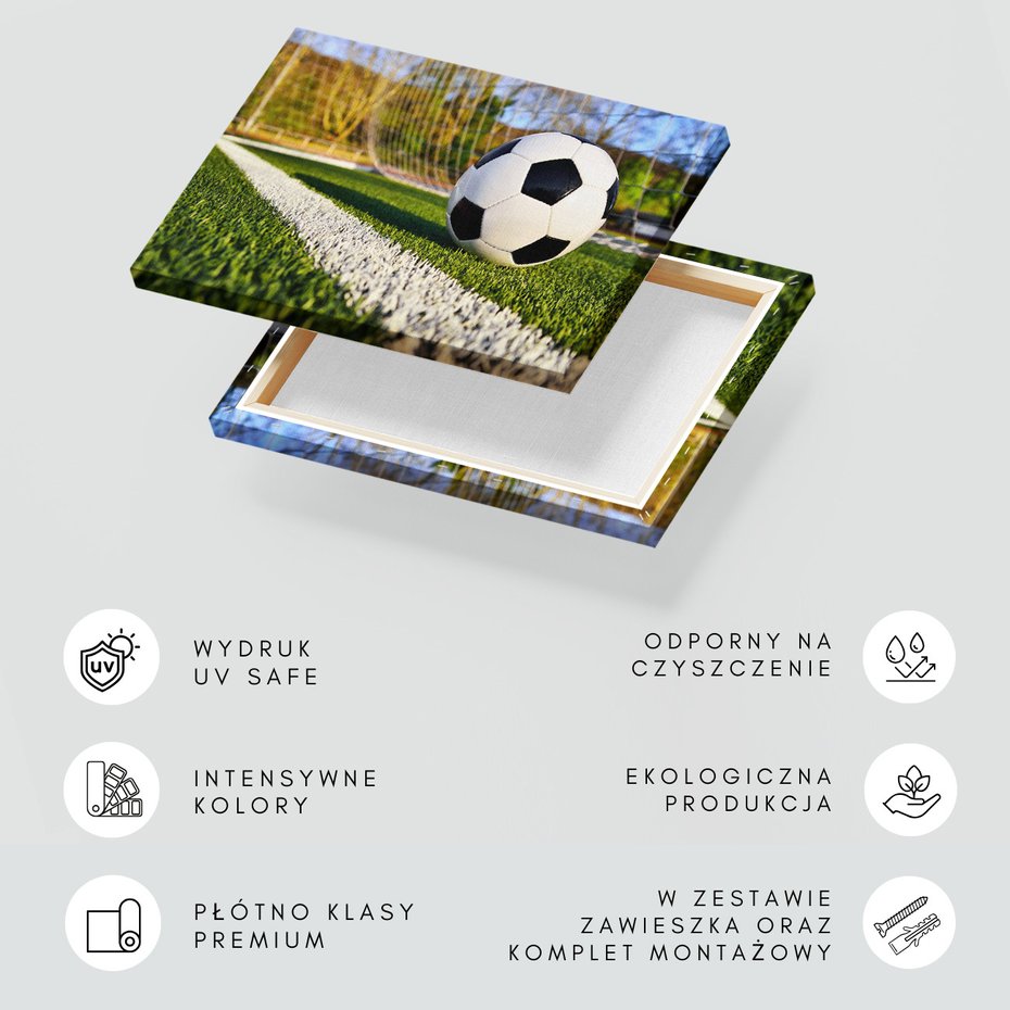 Obraz na płótnie - piłka, sport, trawa