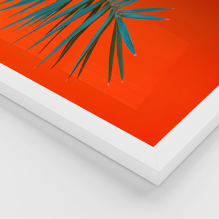 Zestaw obrazy w ramie, plakaty - liście, rośliny, kolory - rama biała