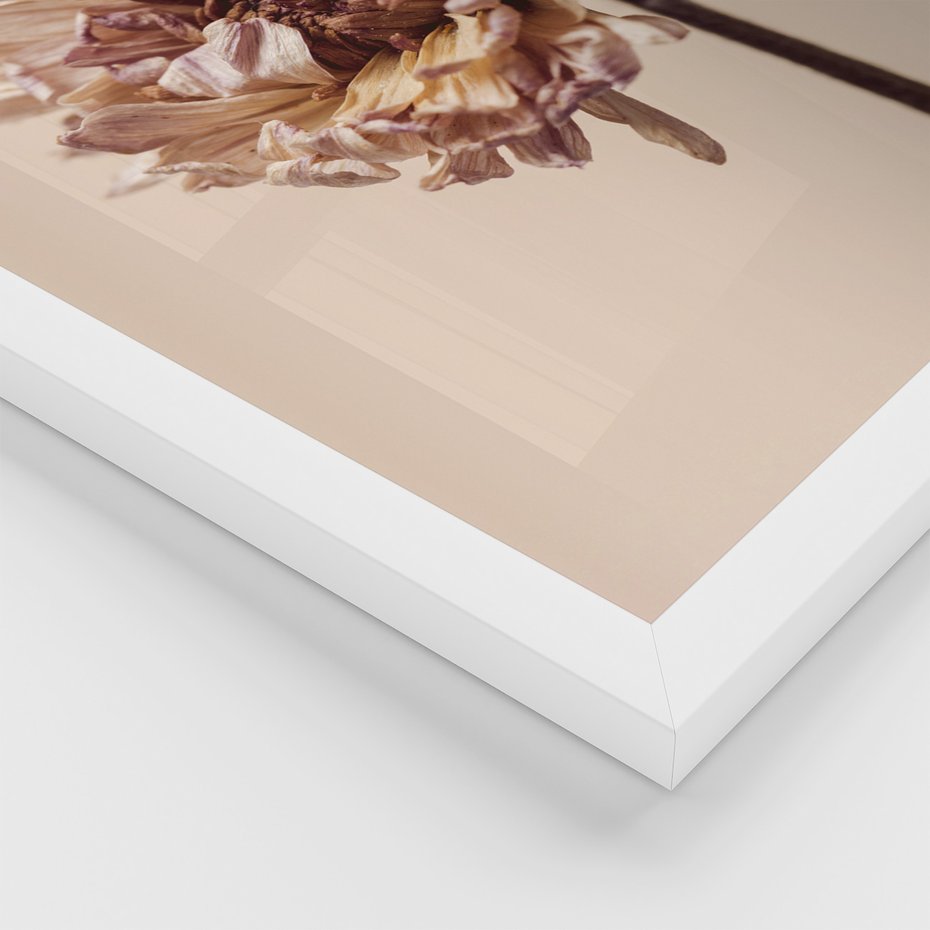 Zestaw obrazy w ramie, plakaty - liść, kwiat, suchy - rama biała