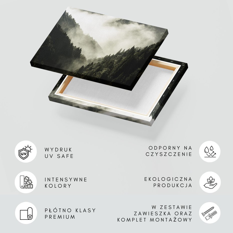 Obraz na płótnie - las, góry, mgła