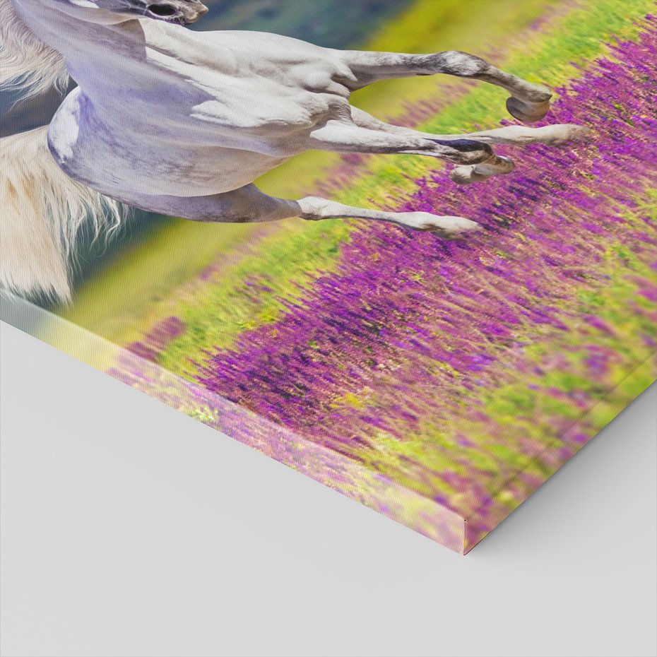 Obraz na płótnie - koń, natura, góry