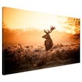 Obraz na płótnie - jeleń, natura, krajobraz