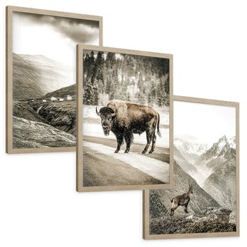 Zestaw obrazy w ramie, plakaty - krajobraz, zwierzę, góry - rama drewno