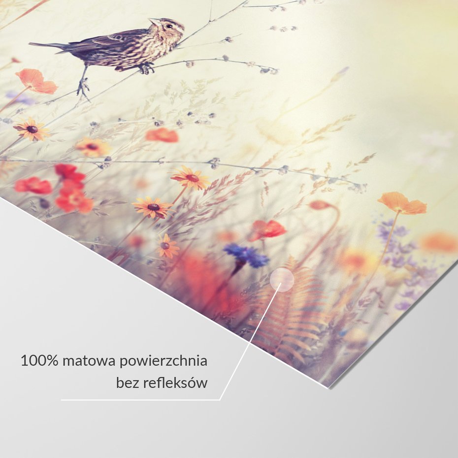 Fototapeta - ptak, kwiaty, łąka