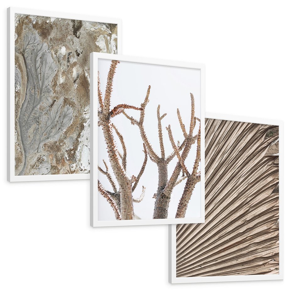 Zestaw obrazy w ramie, plakaty - abstrakcja, roślina, natura - rama biała