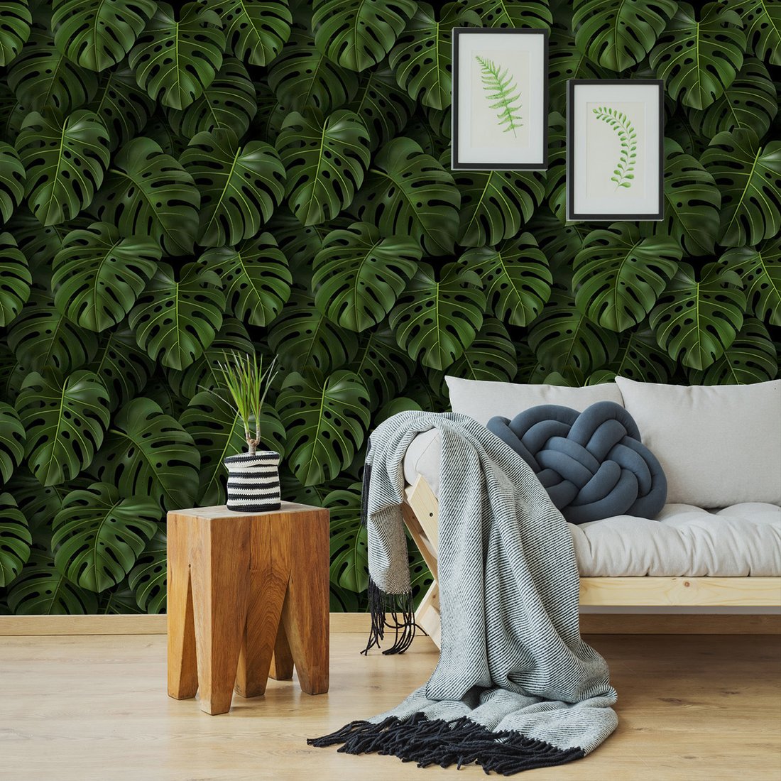 Tapeta - liście, monstera, tropiki