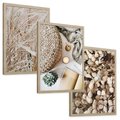 Zestaw obrazy w ramie, plakaty - roślina, beżowy, dekoracja - rama drewno