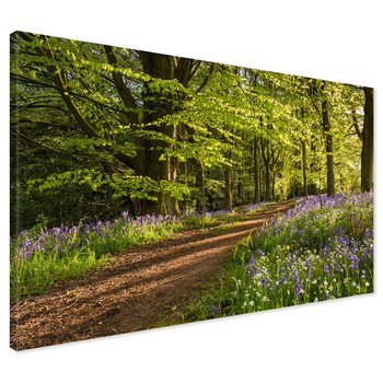 Obraz na płótnie - las, ścieżka, kwiaty