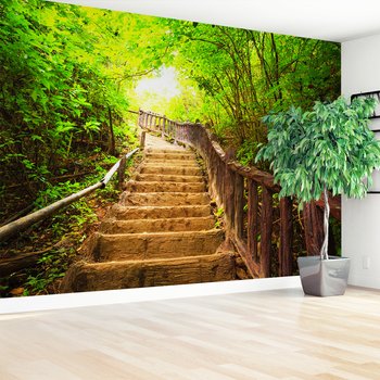 Fototapeta - las, schody, natura