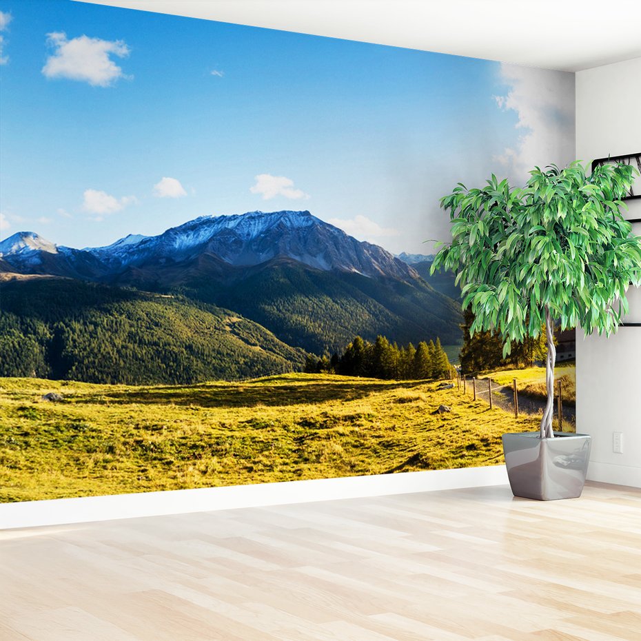 Fototapeta - góry, las, niebo