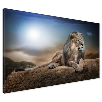 Obraz na płótnie - lew, kot, natura