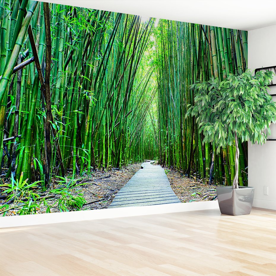 Fototapeta - bambus, las, ścieżka