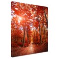 Obraz na płótnie - las, jesień, drzewa