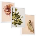 Zestaw obrazy w ramie, plakaty - liść, kwiat, suchy - rama biała