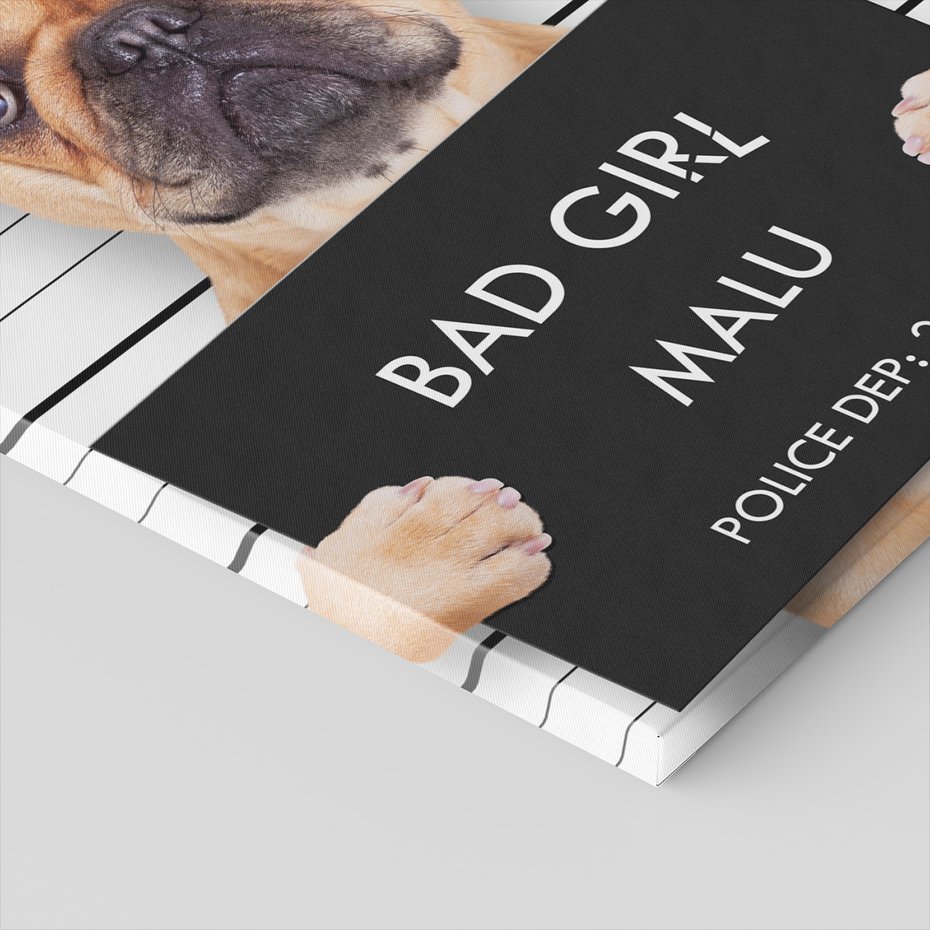 Obraz na płótnie - pies, buldog, tablica