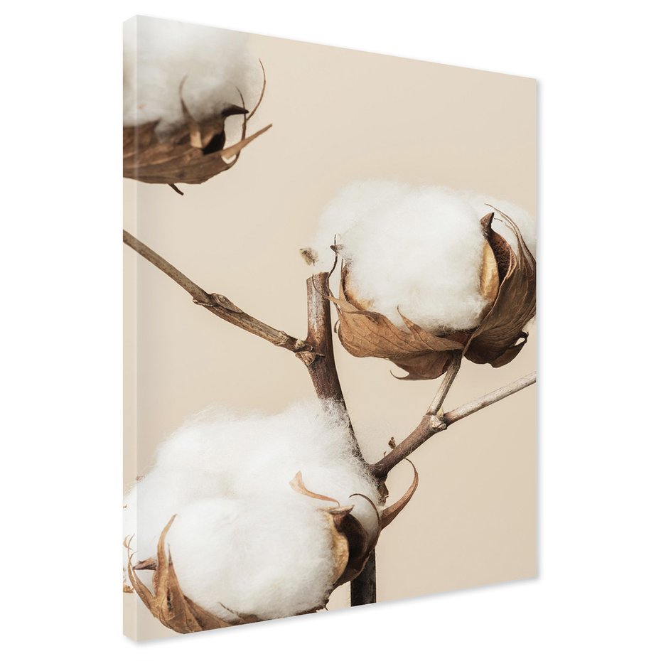 Obraz na płótnie - bawełna, roślina, natura