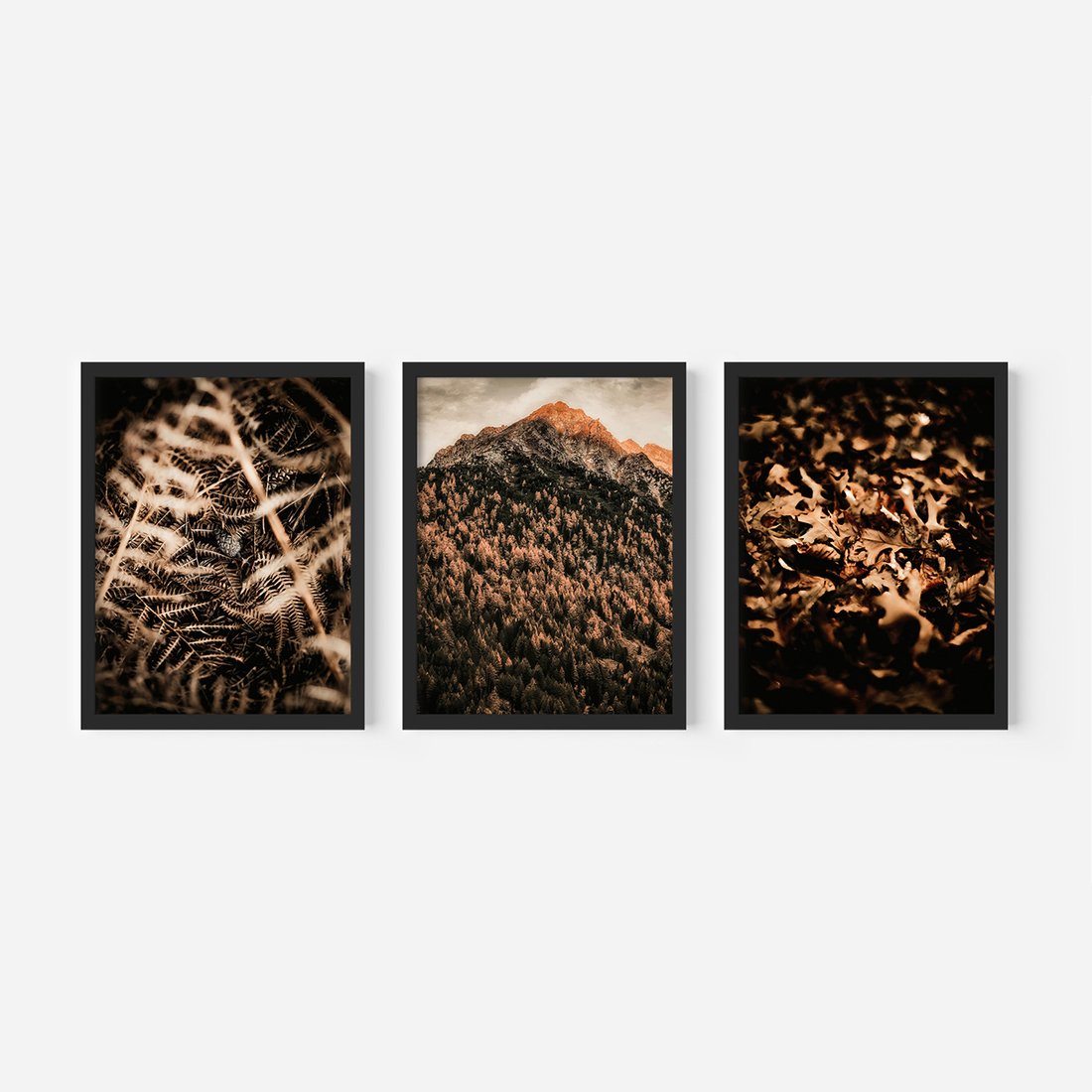 Zestaw obrazy w ramie, plakaty - natura, liście, góry - rama czarna