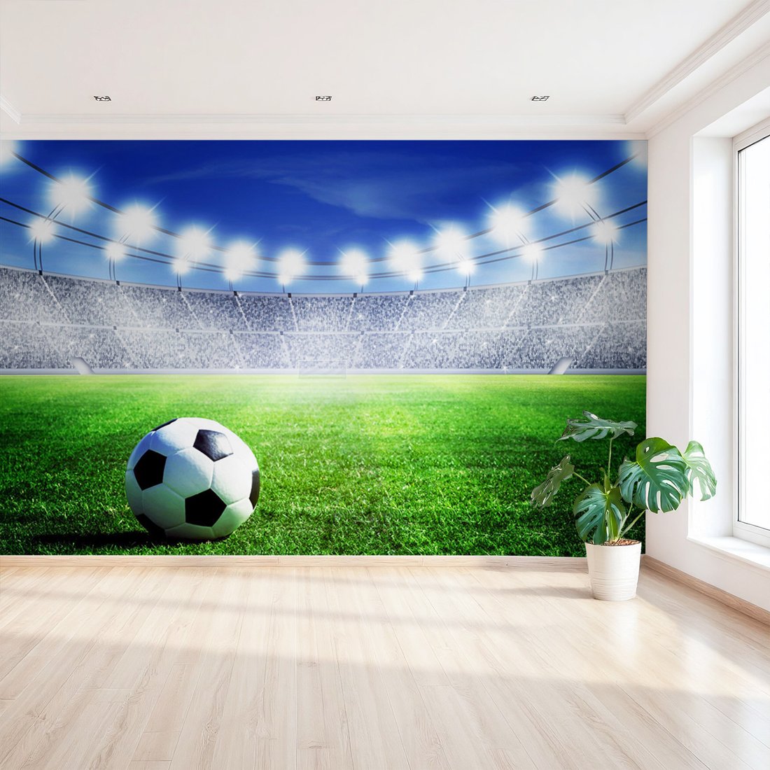 Fototapeta - piłka, stadion, trawa