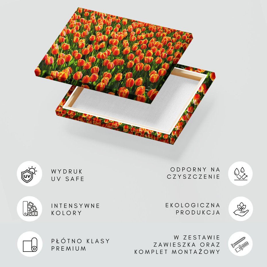 Obraz na płótnie - tulipany, kwiaty, wiosna