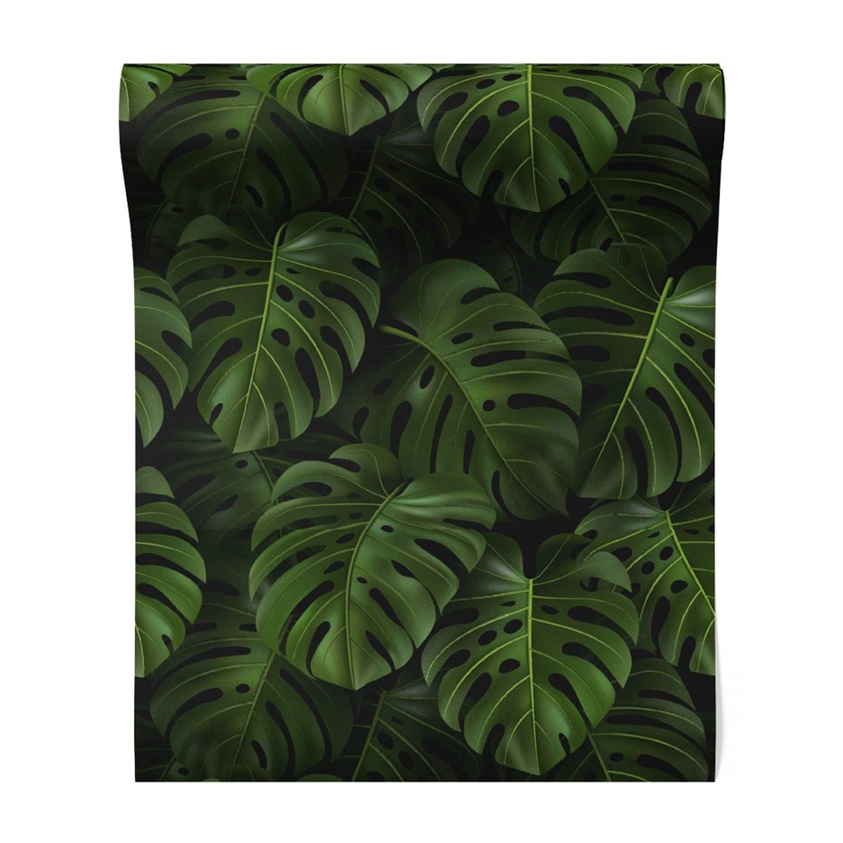 Tapeta - liście, monstera, tropiki