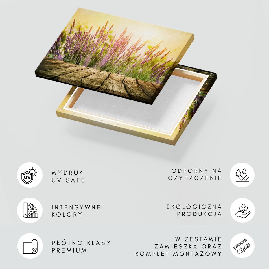 Obraz na płótnie - kwiaty, lawenda, natura