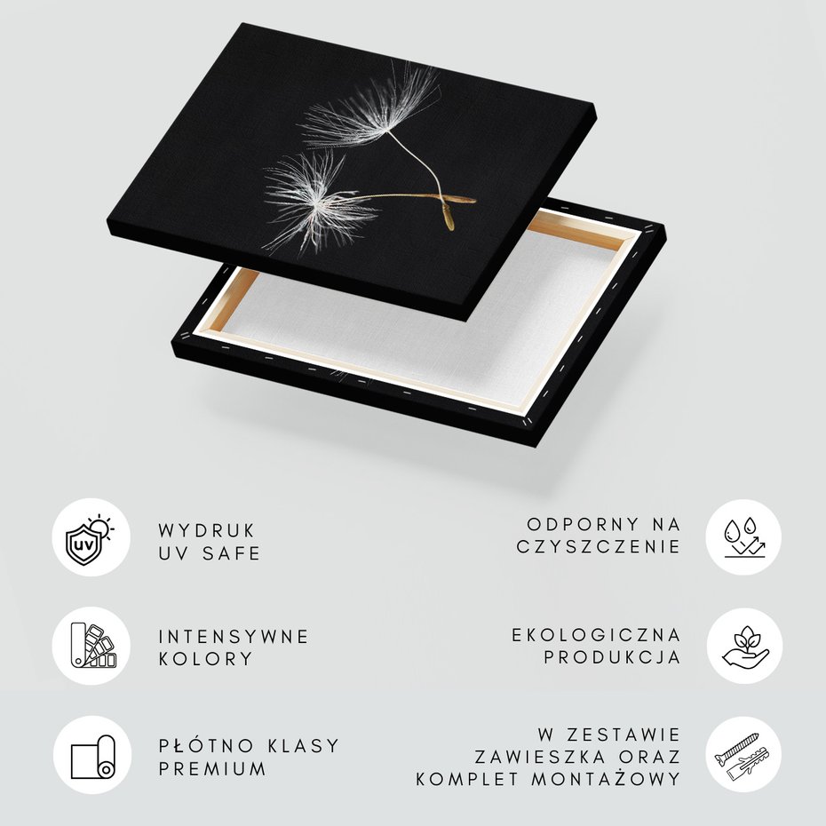 Obraz na płótnie - dandelion, nasiona, natura