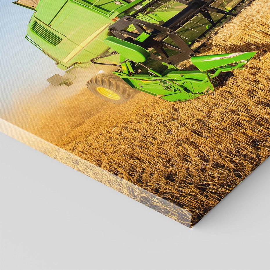 Obraz na płótnie - kombajn, rolnictwo, żniwa