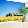 Fototapeta - ciągnik, rolnictwo, pole