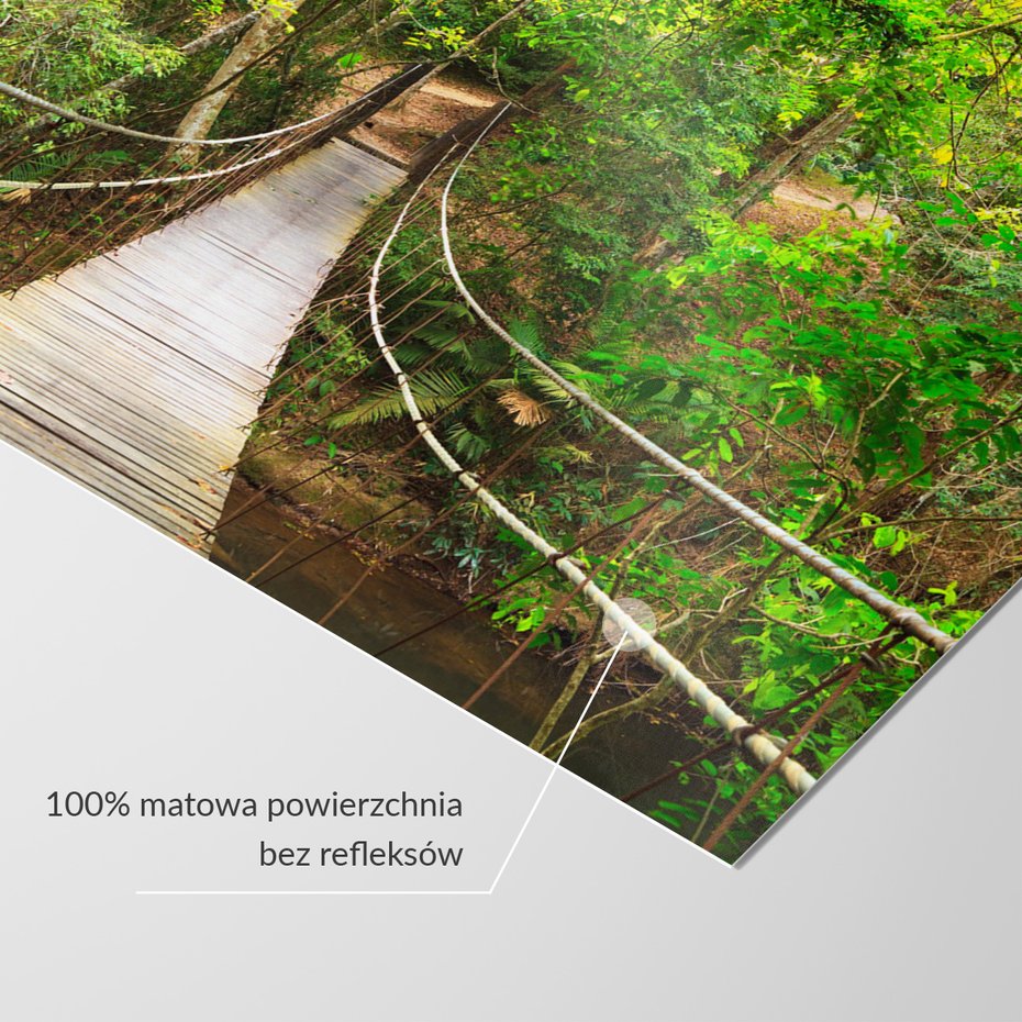 Fototapeta - las, most, natura