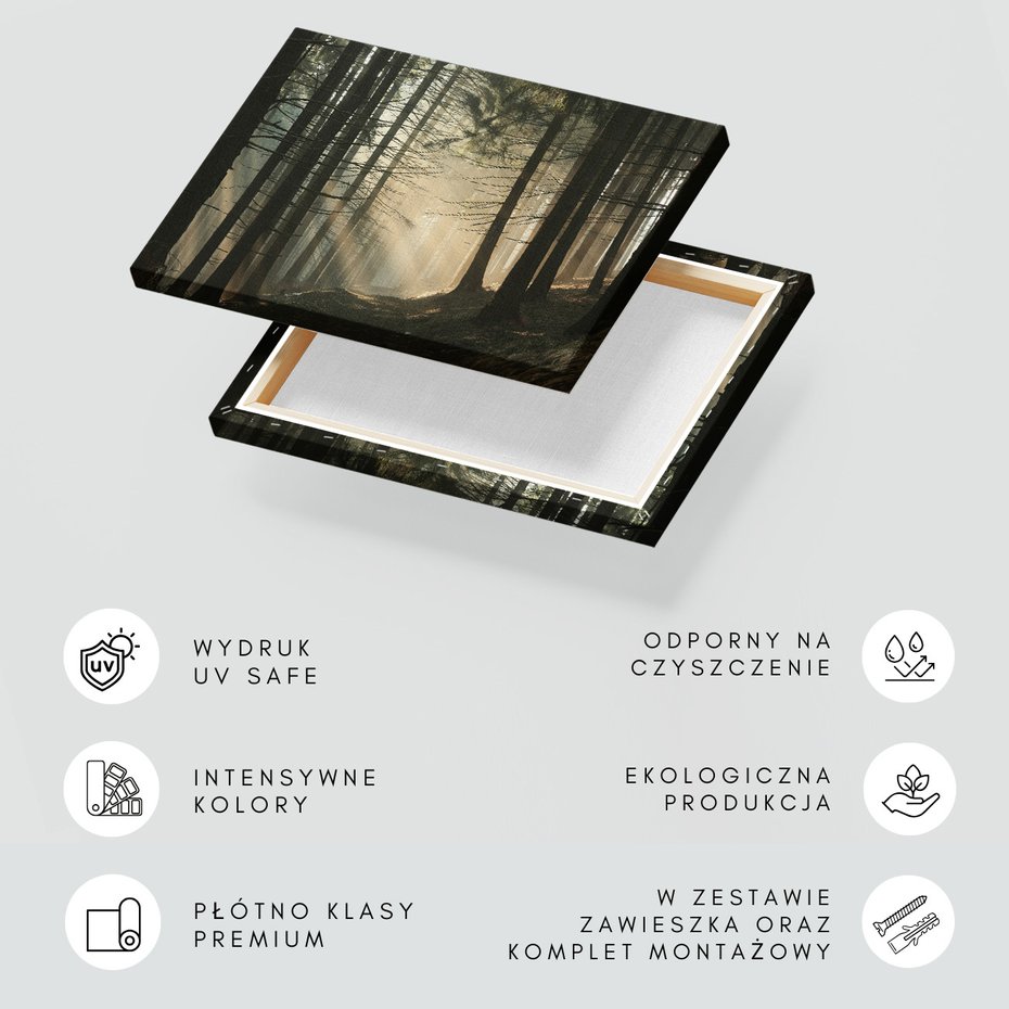 Obraz na płótnie - las, drzewa, mgła